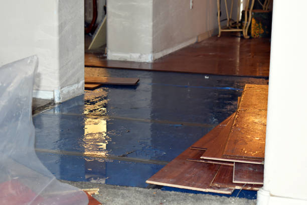 Professional Water Damage Restoration technician working in Morrison, IL